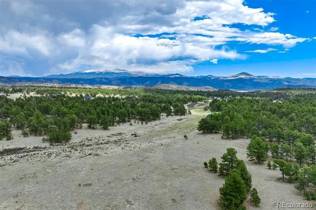 Tract 103 Doe Valley Road Guffey, CO 80820