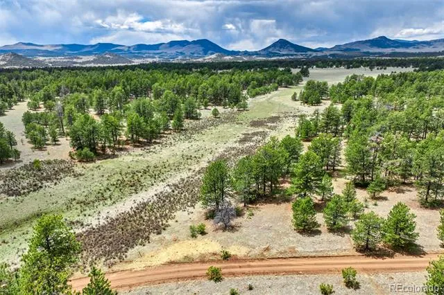 Tract 103 Doe Valley Road Guffey, CO 80820
