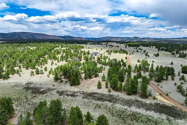 Tract 103 Doe Valley Road Guffey, CO 80820