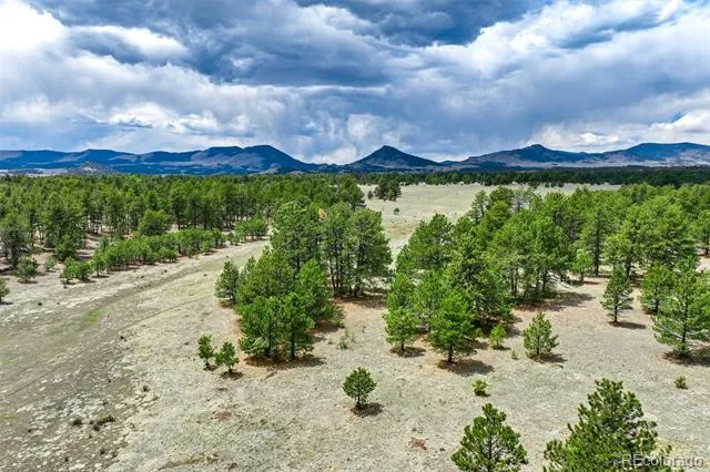 Tract 103 Doe Valley Road Guffey, CO 80820