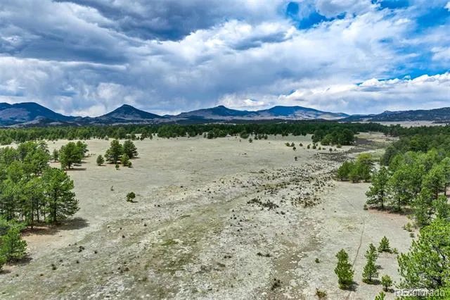 Tract 103 Doe Valley Road Guffey, CO 80820