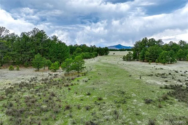 Tract 103 Doe Valley Road Guffey, CO 80820