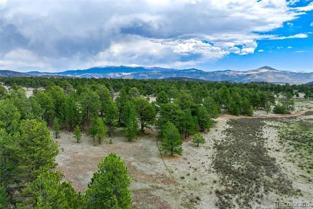 Tract 103 Doe Valley Road Guffey, CO 80820