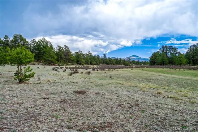 Tract 103 Doe Valley Road Guffey, CO 80820
