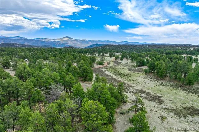 Tract 103 Doe Valley Road Guffey, CO 80820