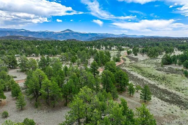 Tract 103 Doe Valley Road Guffey, CO 80820