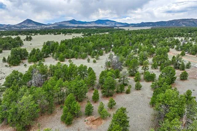 Tract 103 Doe Valley Road Guffey, CO 80820