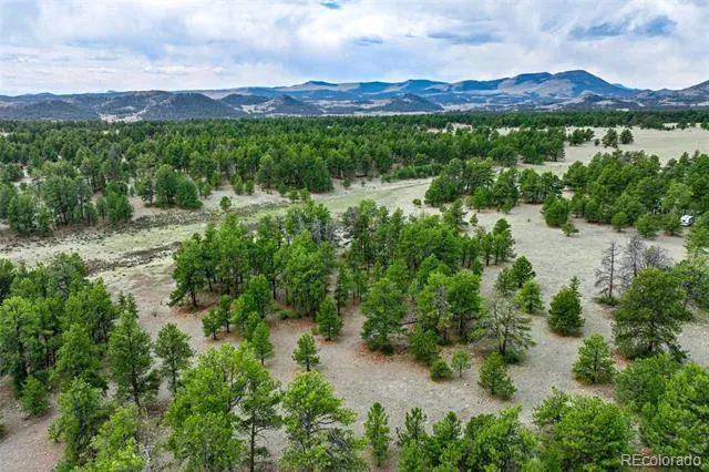 Tract 103 Doe Valley Road Guffey, CO 80820
