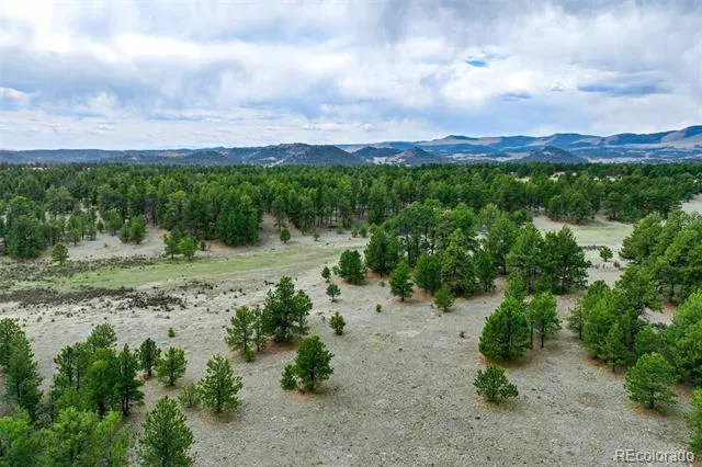 Tract 103 Doe Valley Road Guffey, CO 80820