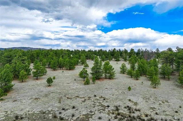 Tract 103 Doe Valley Road Guffey, CO 80820