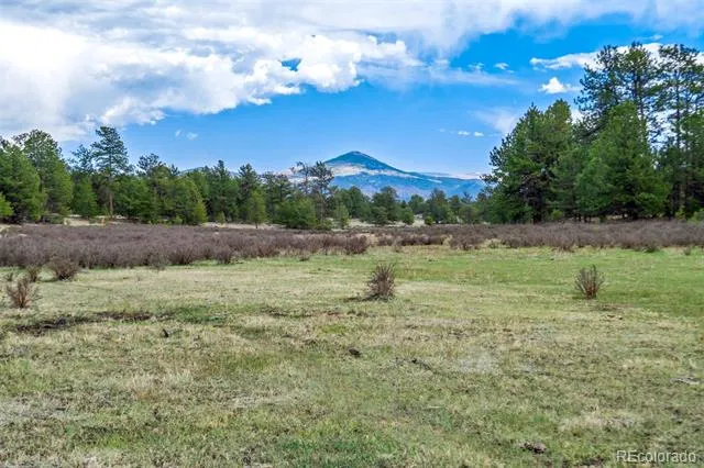 Tract 103 Doe Valley Road Guffey, CO 80820