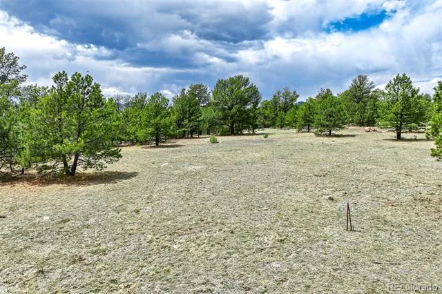 Tract 103 Doe Valley Road Guffey, CO 80820
