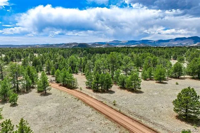 Tract 103 Doe Valley Road Guffey, CO 80820