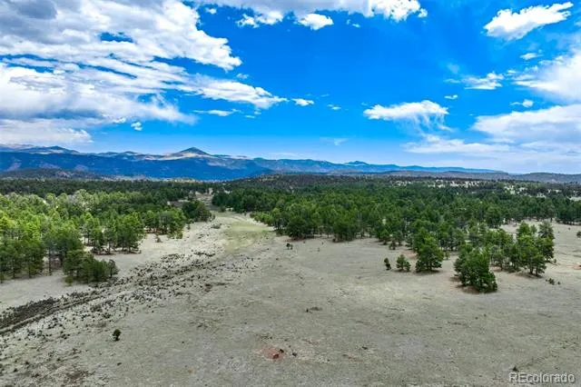 Tract 103 Doe Valley Road Guffey, CO 80820