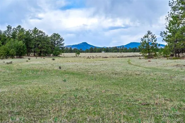 Tract 103 Doe Valley Road Guffey, CO 80820
