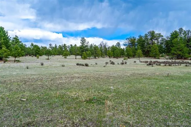 Tract 103 Doe Valley Road Guffey, CO 80820