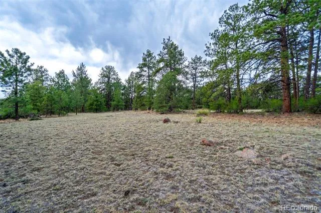 Tract 103 Doe Valley Road Guffey, CO 80820