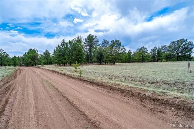 Tract 103 Doe Valley Road Guffey, CO 80820