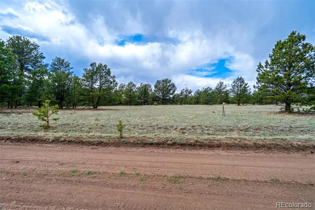Tract 103 Doe Valley Road Guffey, CO 80820