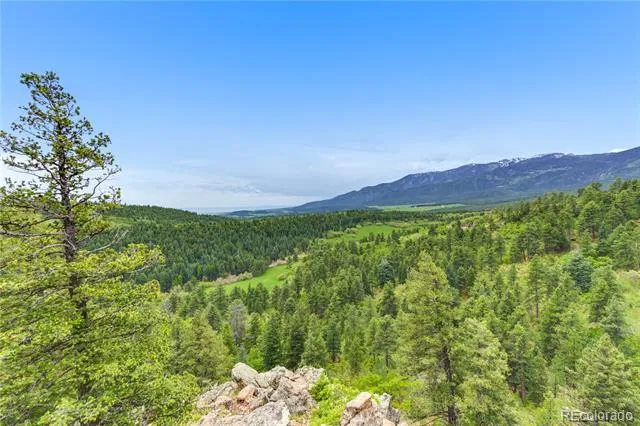 8834 Deiffendeffer Road Rye, CO 81069