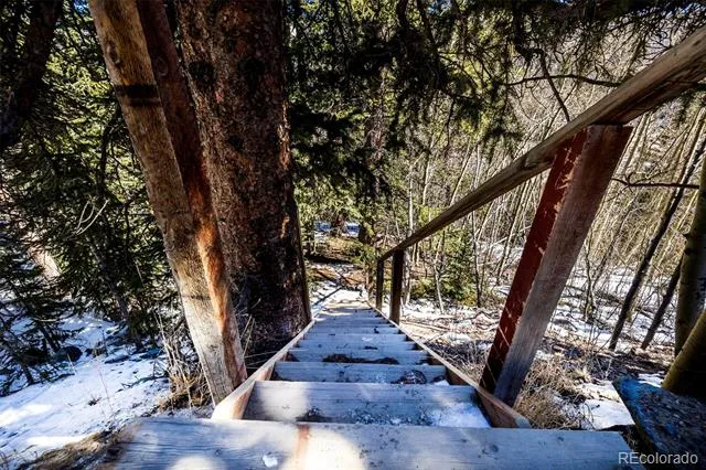 944 Roberts Road Alma, CO 80420