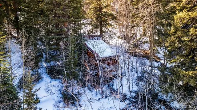 944 Roberts Road Alma, CO 80420