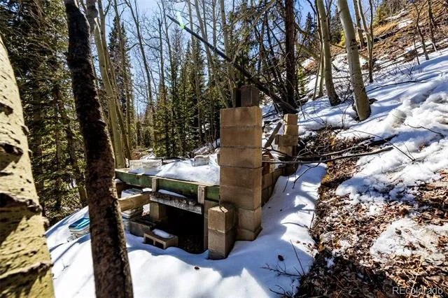 944 Roberts Road Alma, CO 80420