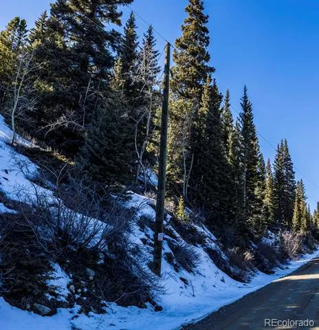 944 Roberts Road Alma, CO 80420