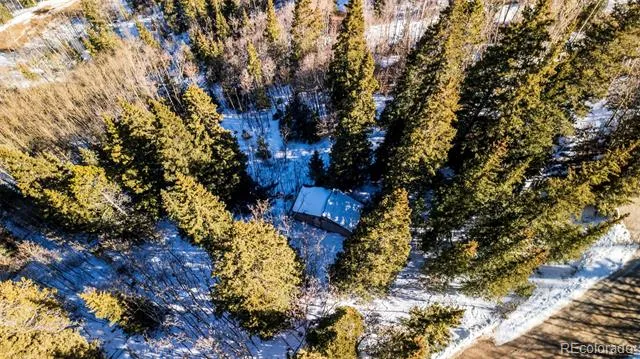 944 Roberts Road Alma, CO 80420