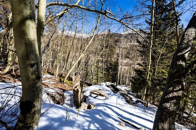 944 Roberts Road Alma, CO 80420