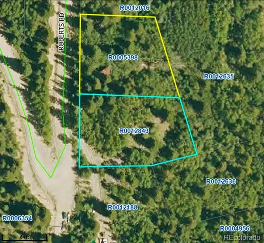 944 Roberts Road Alma, CO 80420