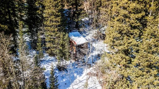 944 Roberts Road Alma, CO 80420