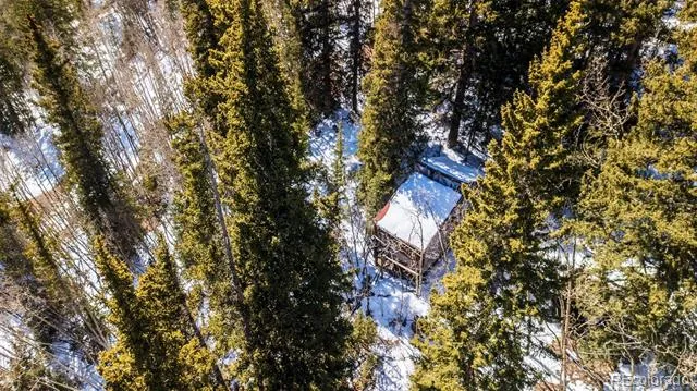 944 Roberts Road Alma, CO 80420