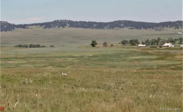 Tract 9 McClellland Road Calhan, CO 80808