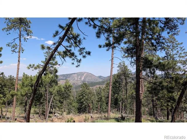 0 Old Camp Road Bellvue, CO 80512