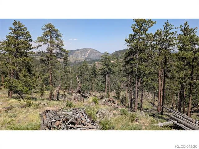 0 Old Camp Road Bellvue, CO 80512