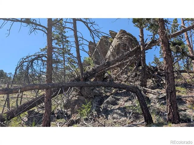 0 Old Camp Road Bellvue, CO 80512