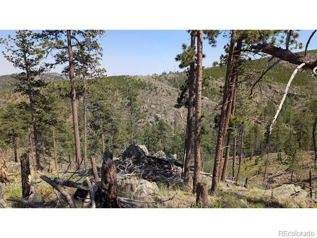 0 Old Camp Road Bellvue, CO 80512