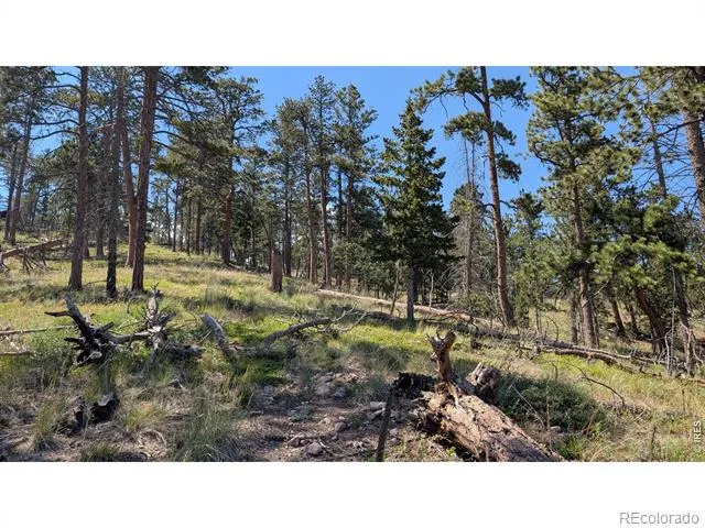 0 Old Camp Road Bellvue, CO 80512