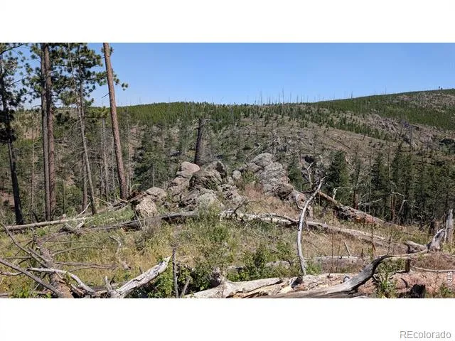 0 Old Camp Road Bellvue, CO 80512