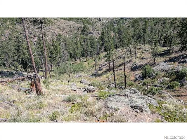0 Old Camp Road Bellvue, CO 80512