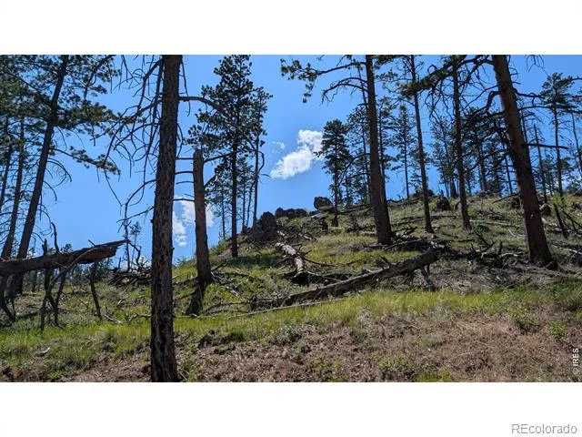 0 Old Camp Road Bellvue, CO 80512
