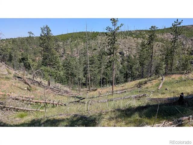0 Old Camp Road Bellvue, CO 80512