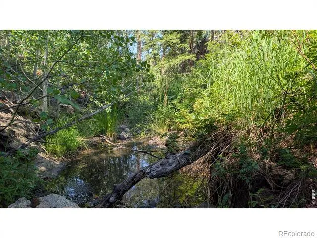 0 Old Camp Road Bellvue, CO 80512