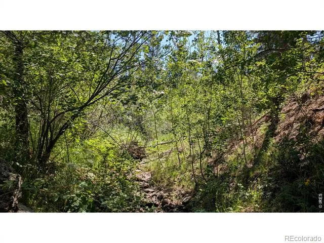 0 Old Camp Road Bellvue, CO 80512