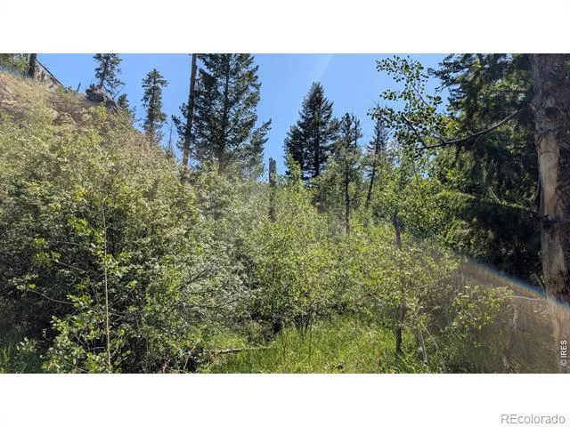 0 Old Camp Road Bellvue, CO 80512