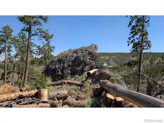 0 Old Camp Road Bellvue, CO 80512