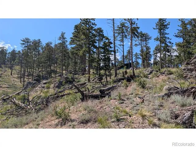 0 Old Camp Road Bellvue, CO 80512