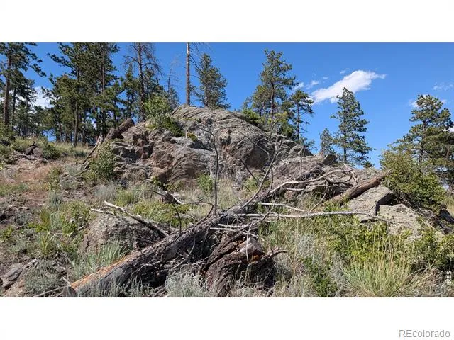 0 Old Camp Road Bellvue, CO 80512