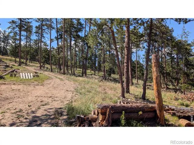 0 Old Camp Road Bellvue, CO 80512